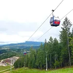 321 Ravna Planina *