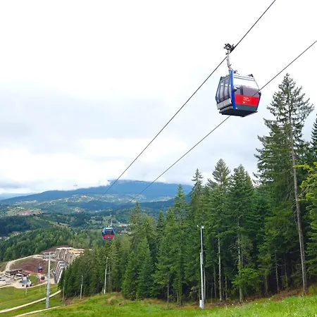 321 Ravna Planina *