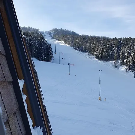 321 Ravna Planina Pale